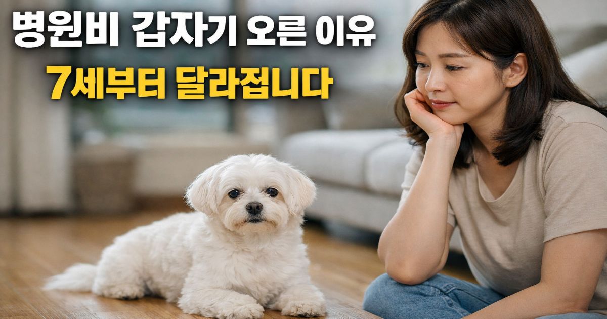 강아지 나이에 따라 병원비가 증가하는 이유를 고민하는 보호자와 말티즈
