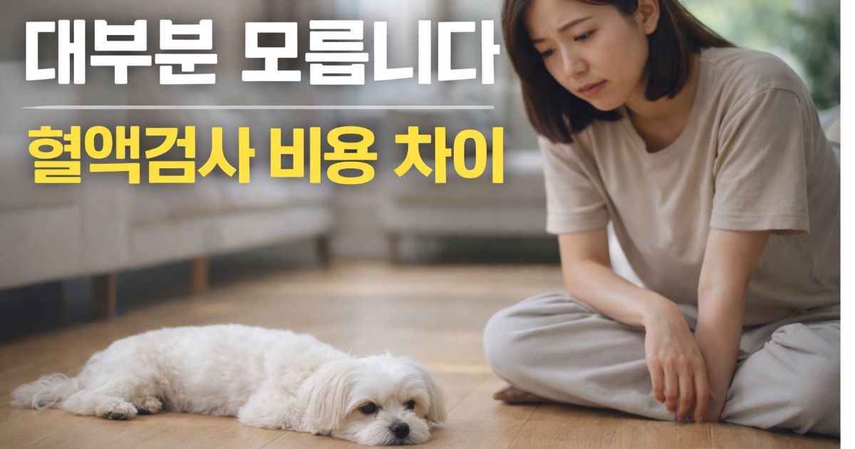 강아지 혈액검사 비용 차이를 고민하며 말티즈 상태를 살펴보는 보호자 모습