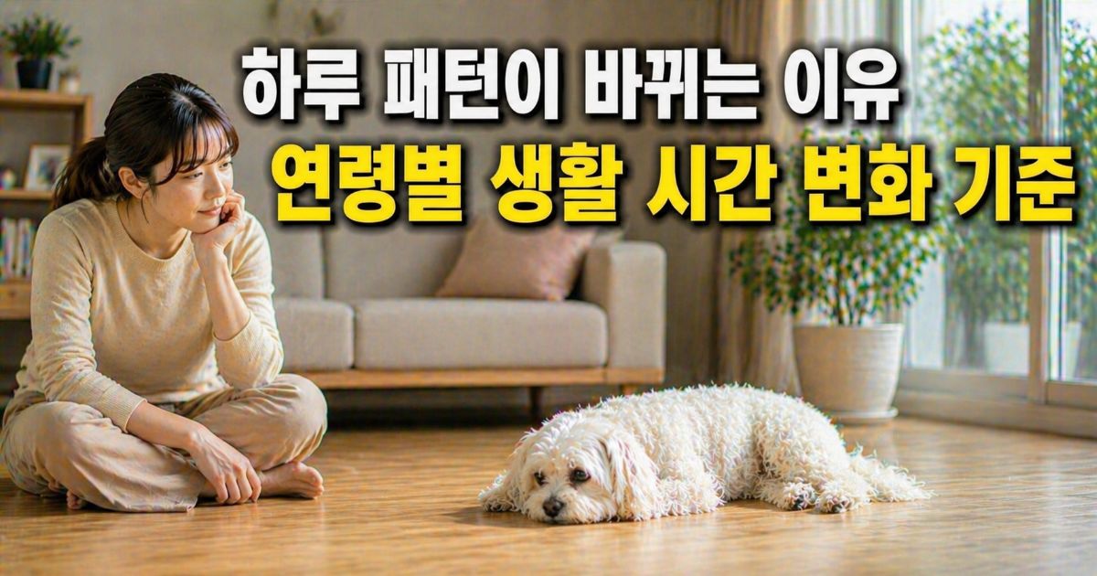 노령 말티즈가 활동 후 편안히 휴식하며 보호자가 생활 리듬 변화를 관찰하는 장면