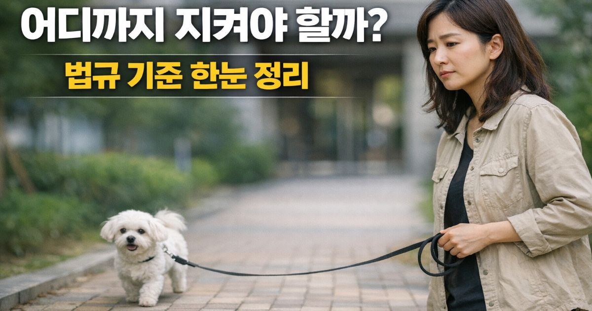 반려견 법규 기준을 고민하며 말티즈를 산책시키는 보호자 외부 장면