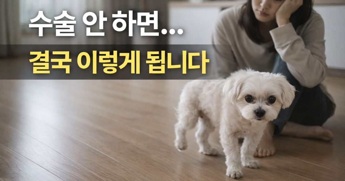 강아지 슬개골 탈구 초기 증상을 걱정스럽게 관찰하는 보호자와 말티즈 모습