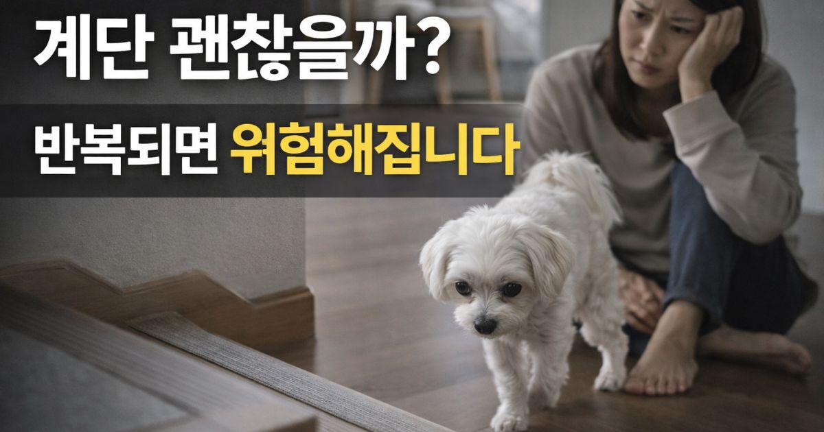 강아지 슬개골 탈구 계단 사용 시 보호자가 관절 부담을 걱정하며 관찰하는 모습