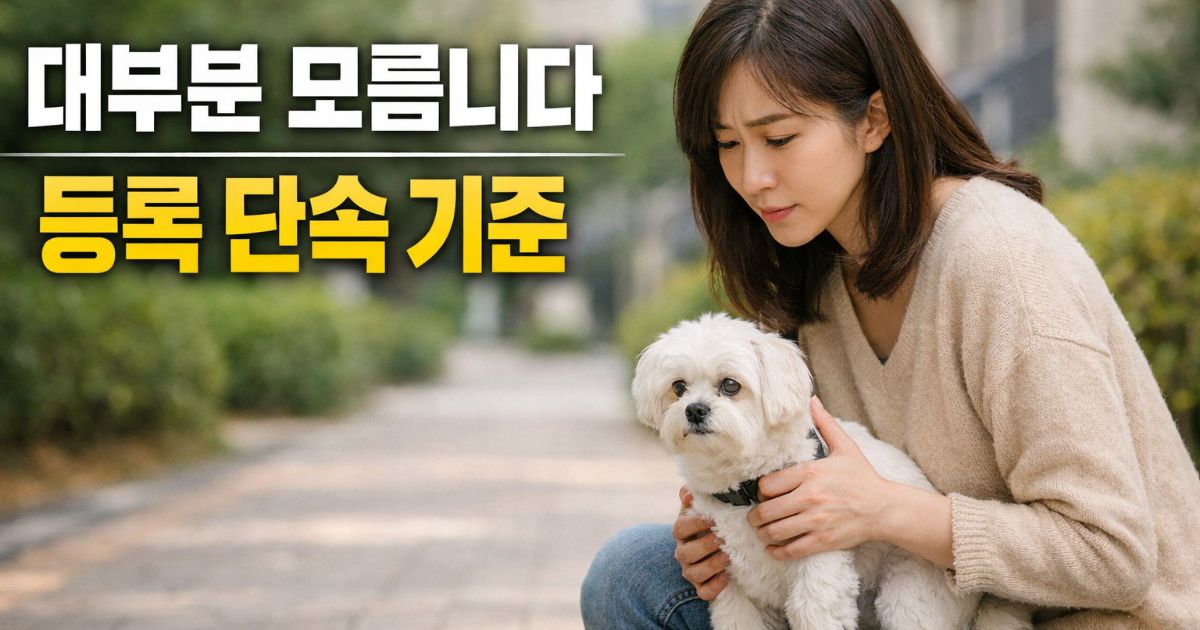 반려견 등록 여부를 고민하며 말티즈를 바라보는 보호자 외부 상황