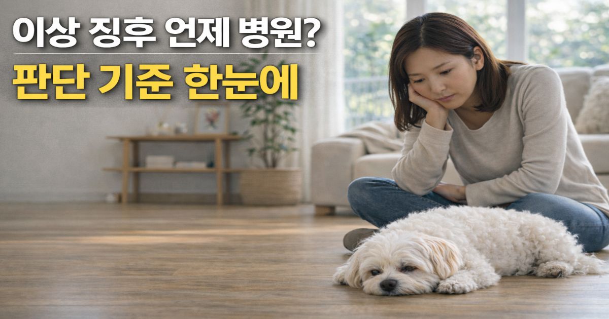 저활동 상태의 말티즈를 관찰하는 한국 보호자 강아지 이상 징후