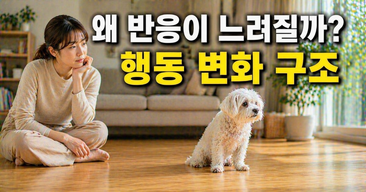 노령견 반응 속도 변화와 행동 패턴 구조를 관찰하는 보호자와 말티즈 일상 장면