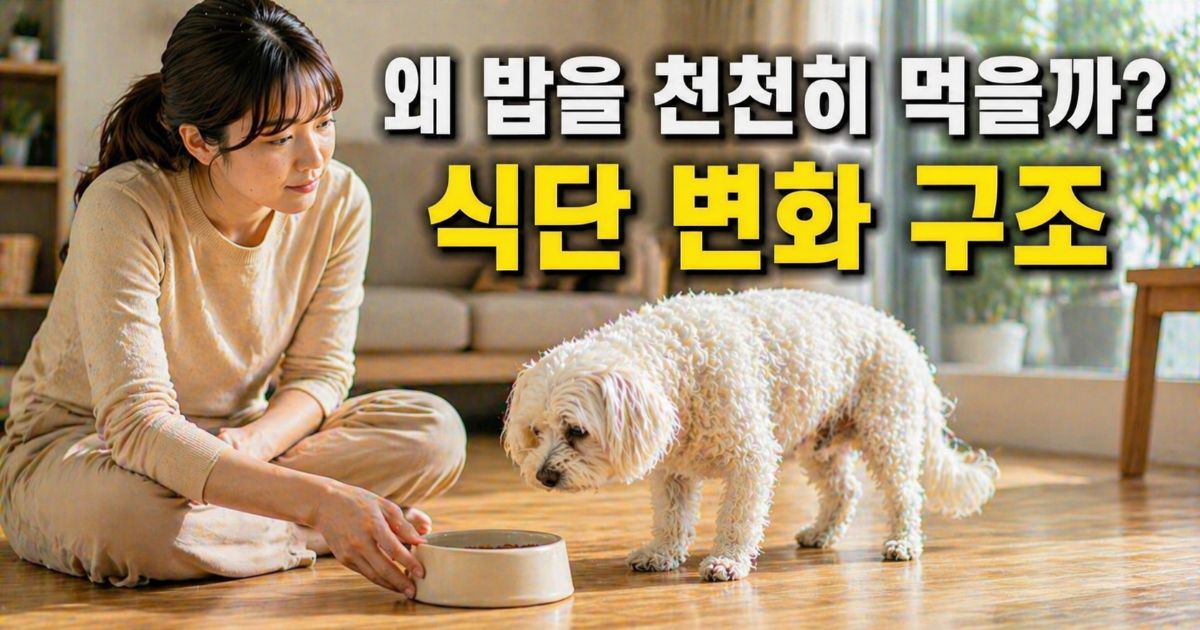 노령 말티즈가 밥그릇 앞에서 천천히 식사하며 보호자가 식사 패턴 변화를 관찰하는 모습