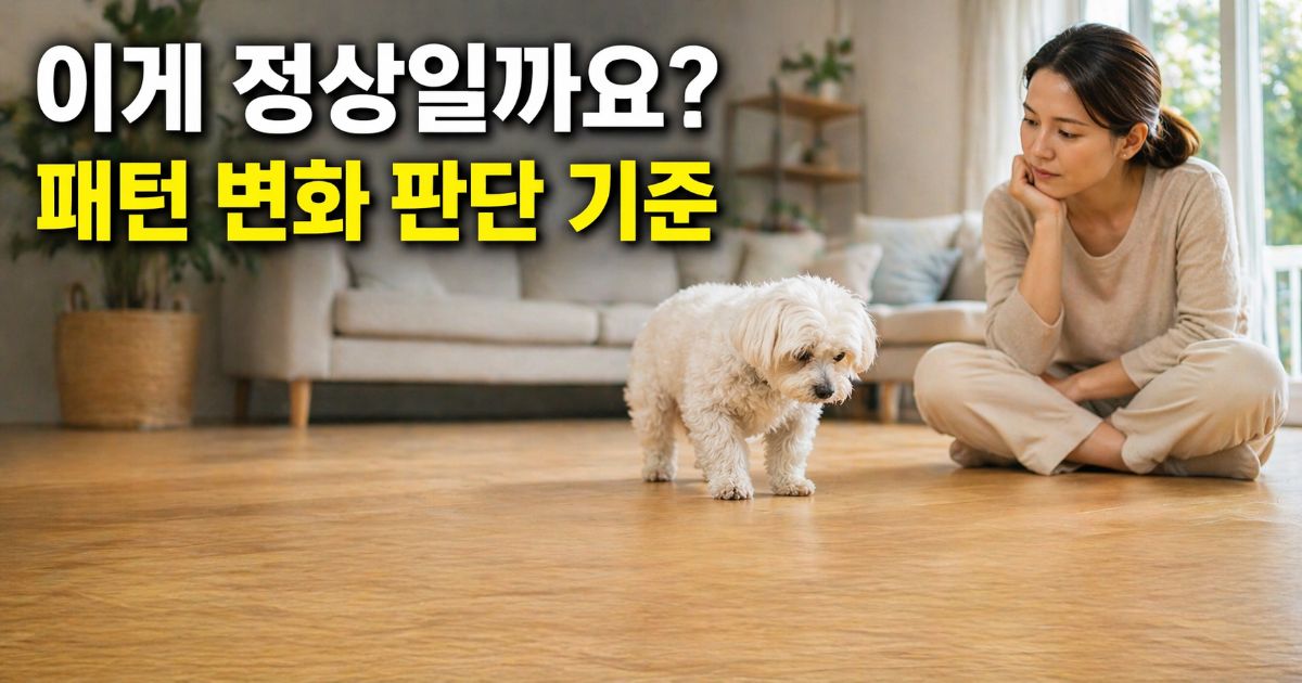 실내에서 활동량이 감소한 노령 말티즈를 주의 깊게 관찰하는 한국 여성