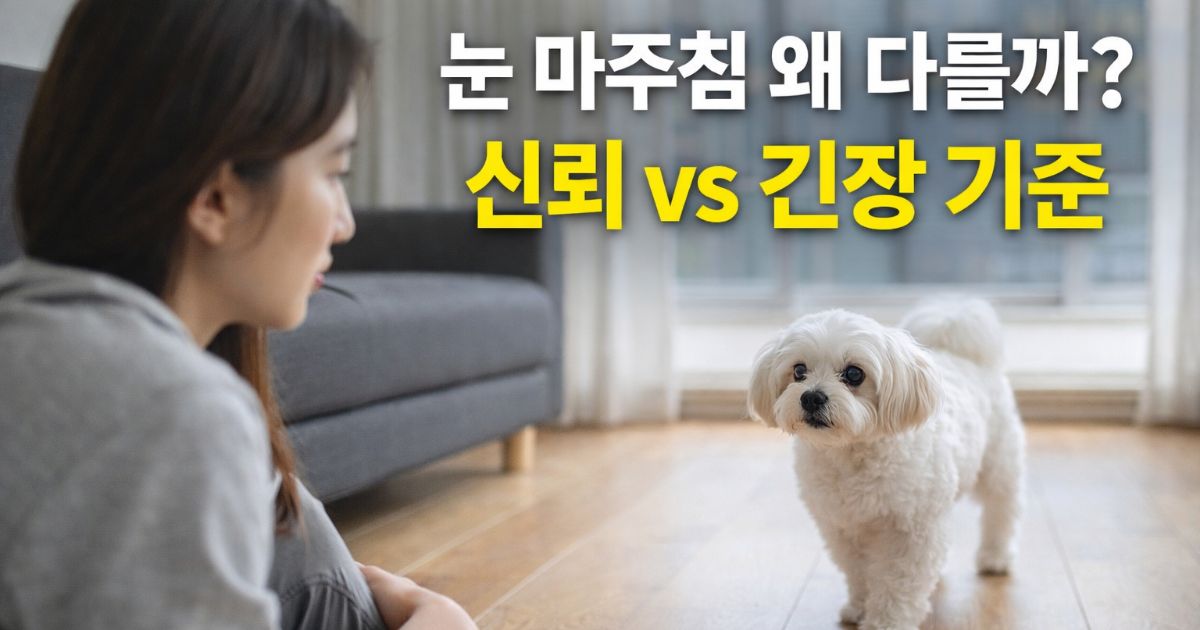 강아지 눈 마주침 의미 신뢰와 긴장 행동 차이 분석 장면