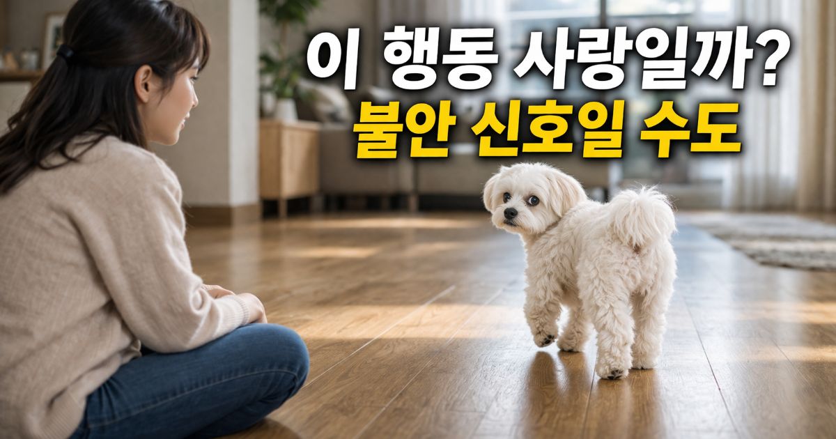 강아지 사랑 확인법 애착 행동과 불안 행동 구분 기준 상황