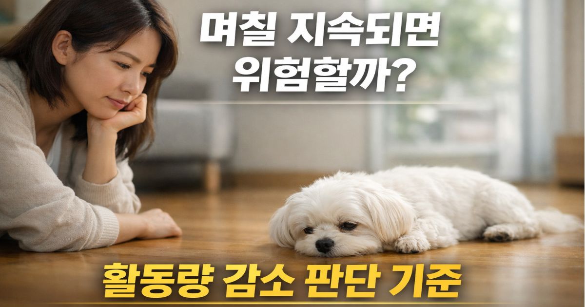 강아지 활동량 감소를 걱정하며 말티즈를 관찰하는 보호자 모습