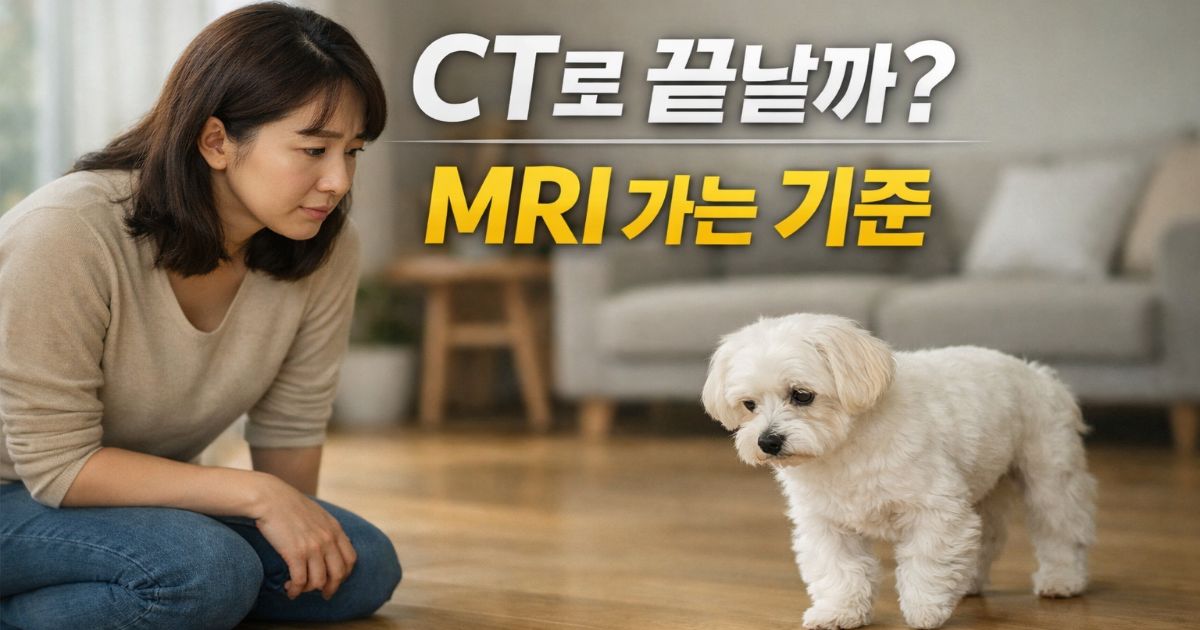강아지 MRI 꼭 해야 할까 CT와 MRI 선택 기준 및 검사 판단 흐름