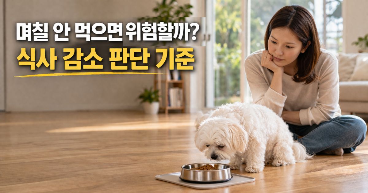 강아지가 밥을 먹지 않는 기간과 경고 신호를 보호자가 관찰하는 상황