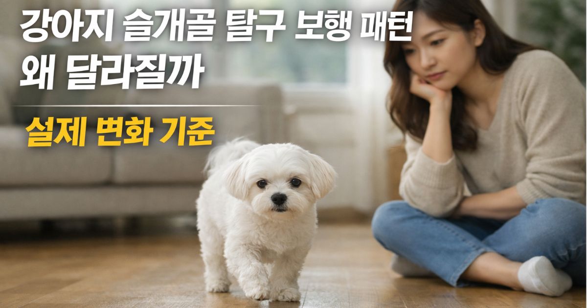 강아지 슬개골 탈구 보행 패턴 변화로 보호자가 걱정하며 관찰하는 모습