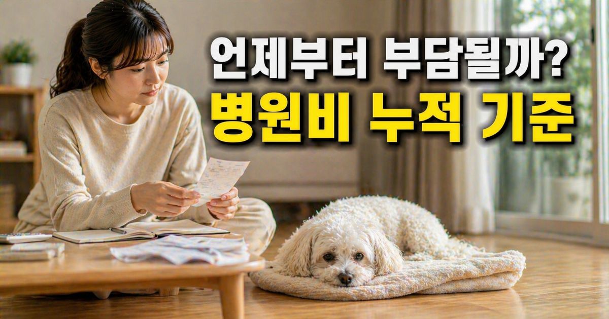 병원비 지출을 확인하며 노령 말티즈를 바라보는 보호자의 생활 장면