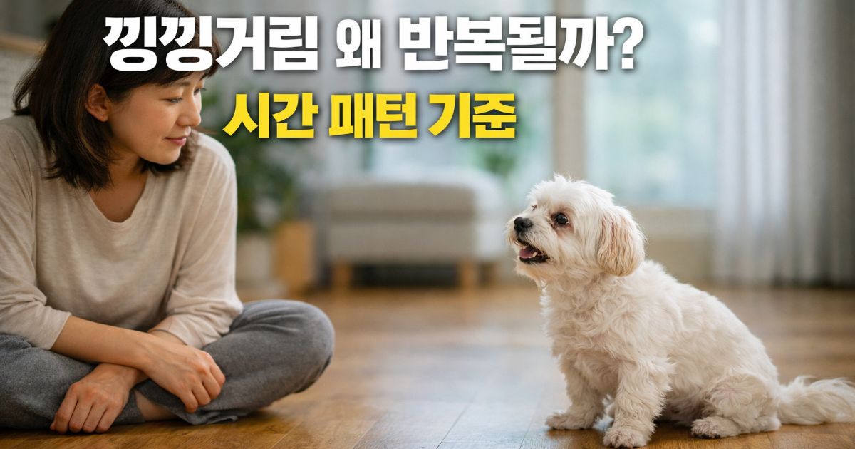 한국 실내에서 보호자가 특정 시간대에 반복되는 말티즈의 낑낑거림 행동을 관찰하는 장면